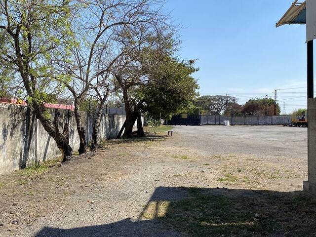 #232707 - Terreno para Venta en Mariara - G - 3