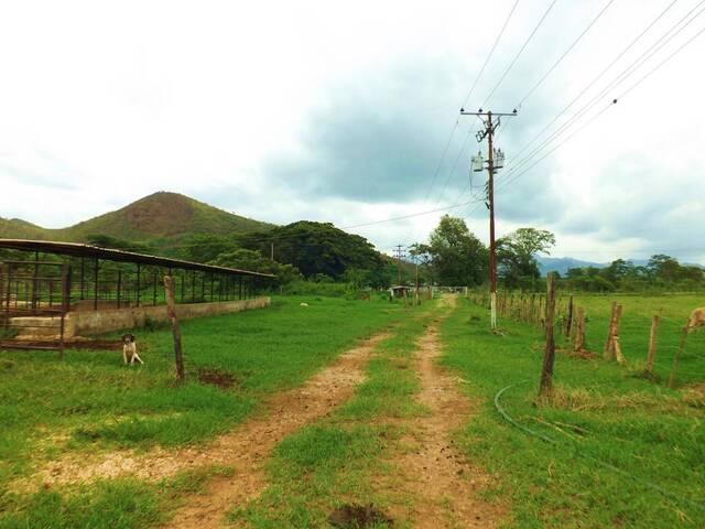 #238126 - Hacienda / Finca / Granja para Venta en Montalbán - G