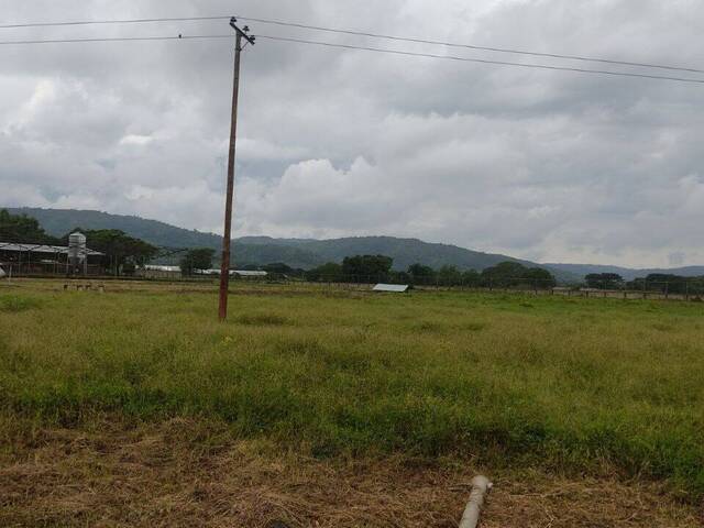 #242752 - Hacienda / Finca / Granja para Venta en Guigue - G - 3