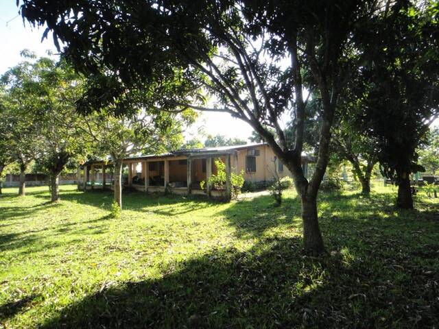 #251379 - mini finca para Venta en Valencia - G