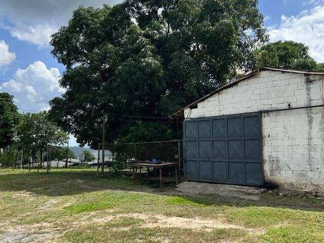 #23063 - Hacienda / Finca / Granja para Venta en Guigue - G - 2