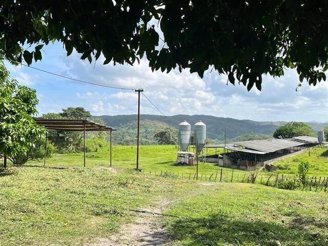 #23063 - Hacienda / Finca / Granja para Venta en Guigue - G - 3