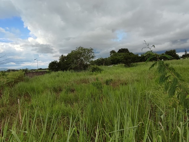 #254454 - mini finca para Venta en Libertador - G