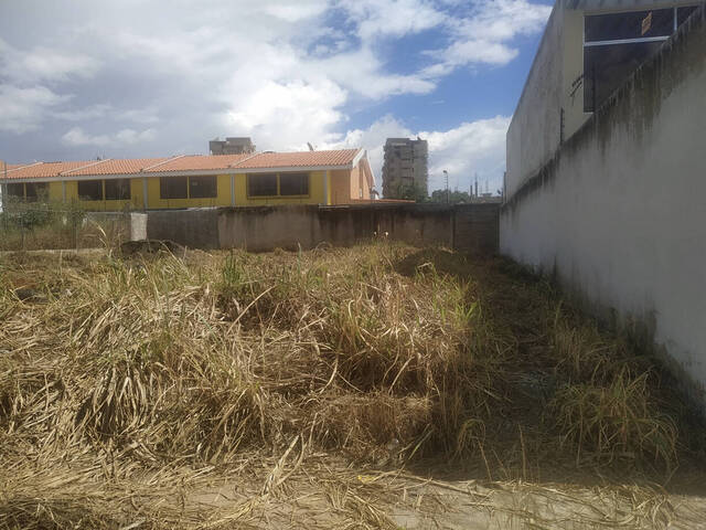 #241905 - Terreno para Venta en Valencia - G